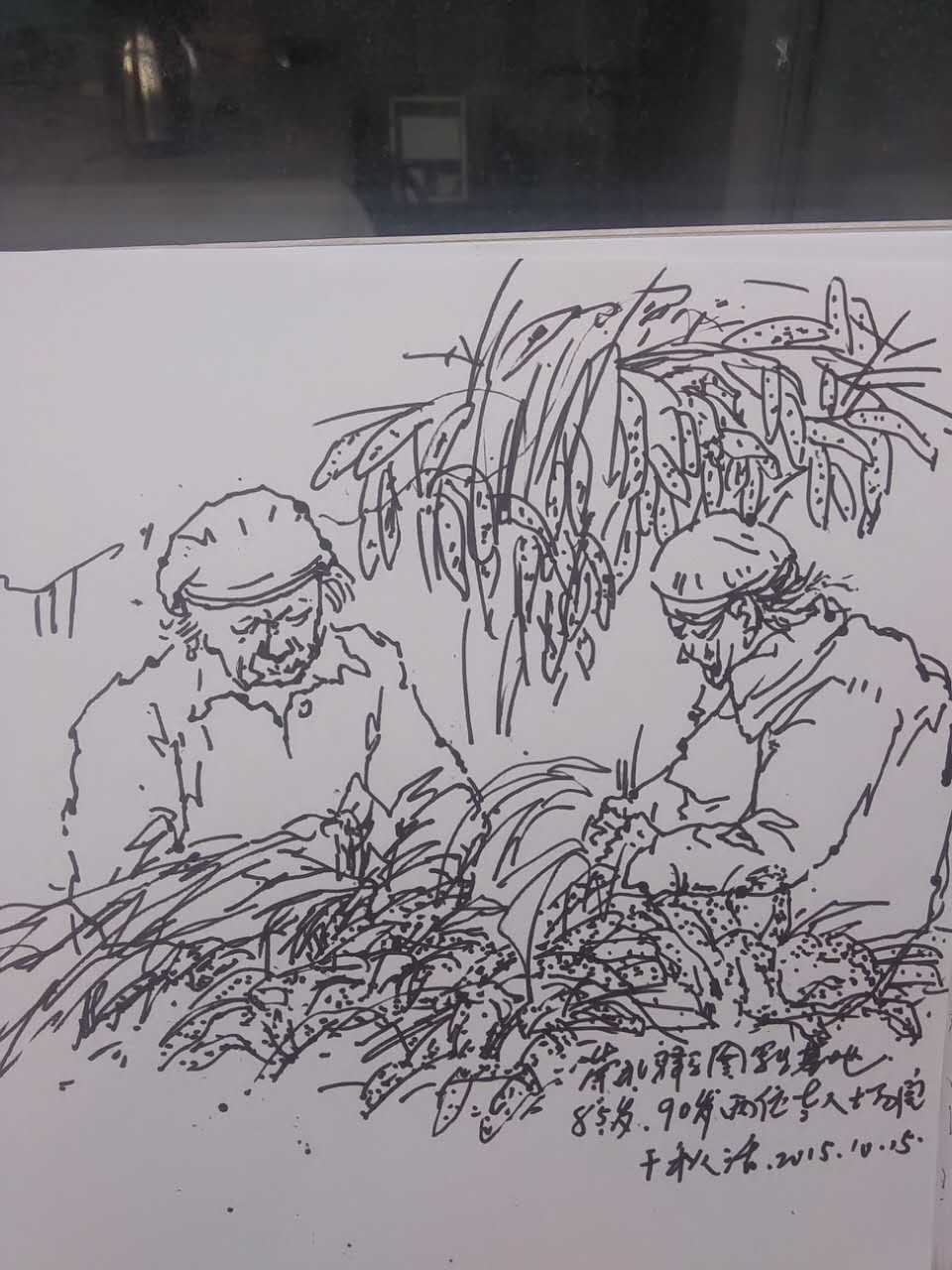 艺术设计系2014级驿马图采风写生行