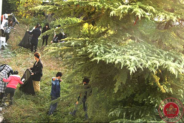 美化校园环境 从小事做起