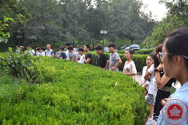 律动的校园 青春激荡