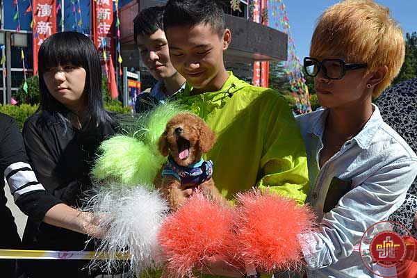 我院秋季拔河比赛预赛阶段圆满结束