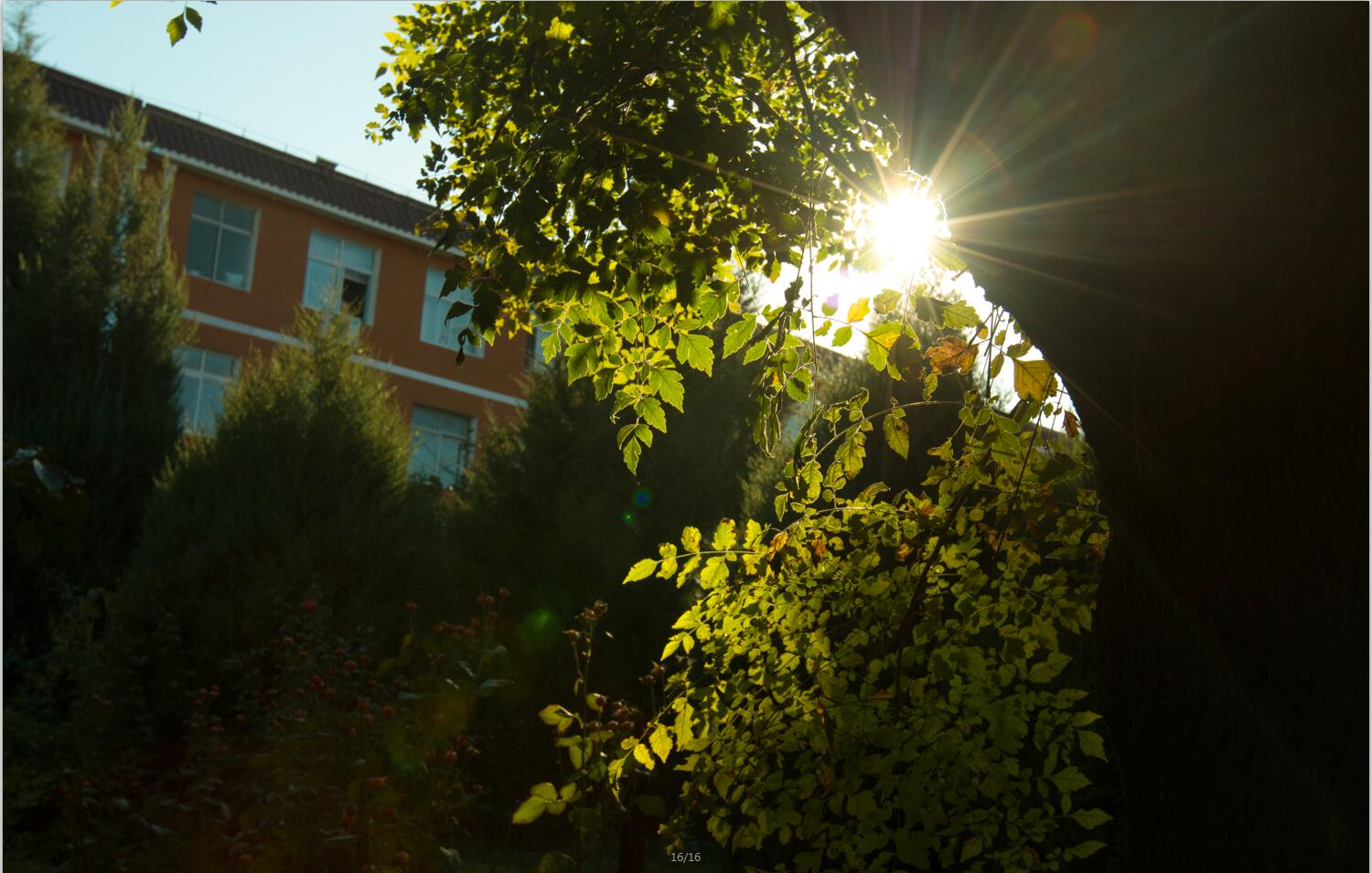 秋天的北演校园 秋天的北演校园