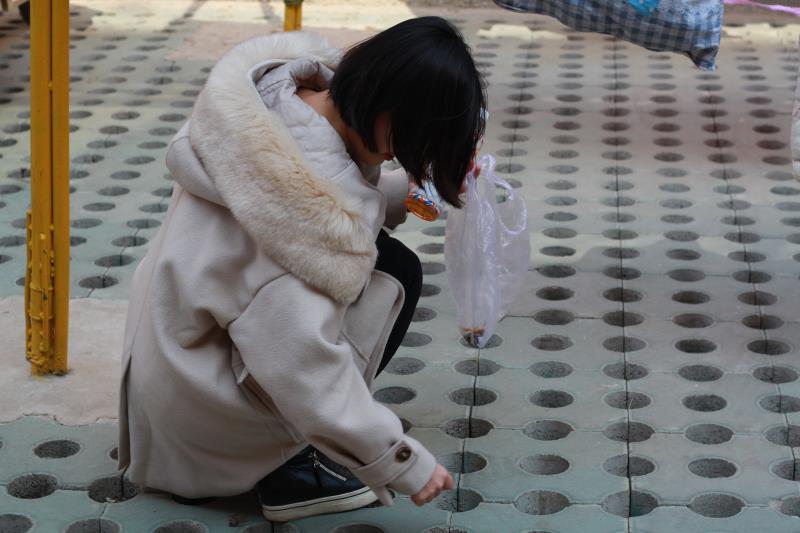 三月春风佛校园 我们在校园学雷锋 三月春风佛校园 我们在校园学雷锋