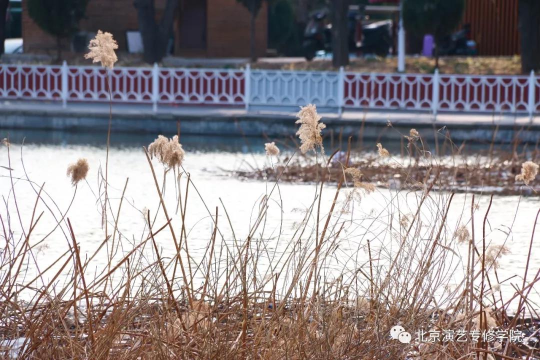 与你相遇在新学期 与你相遇在新学期