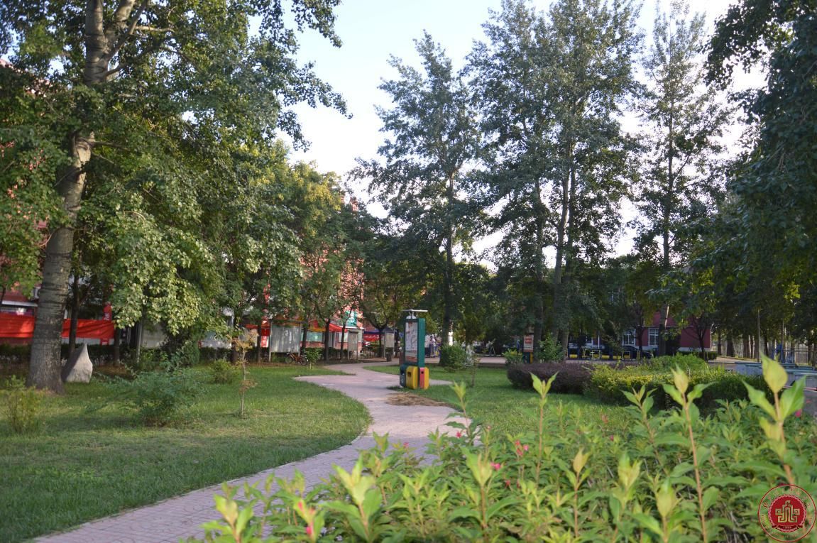 新校区施工情况进展(更新)