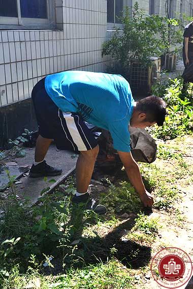 清扫垃圾,净化校园 清扫垃圾,净化校园