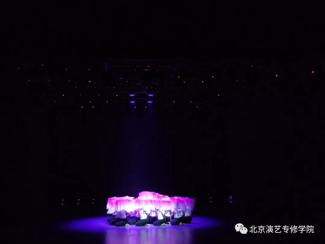 第十届才艺大赛暨现代舞、中国舞作品展演 第十届才艺大赛暨现代舞、中国舞作品展演