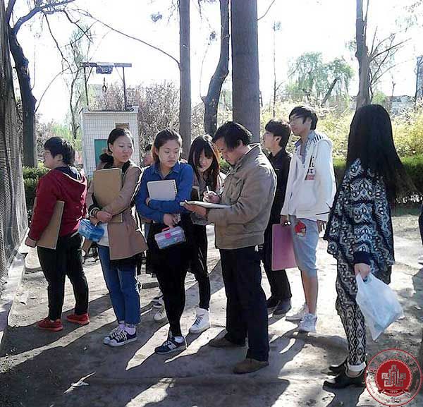 课堂写生，孔雀升华