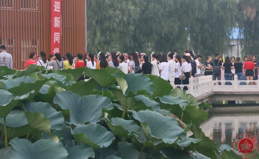 2017级新生晨读活动拉开帷幕