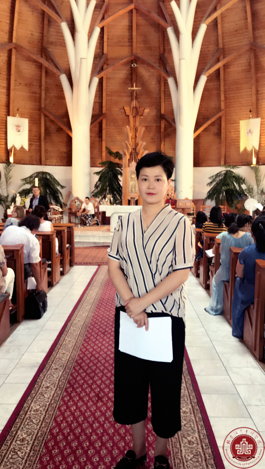 我院音乐系王琳老师应邀参加匈牙利国际文化交流演出 我院音乐系王琳老师应邀参加匈牙利国际文化交流演出