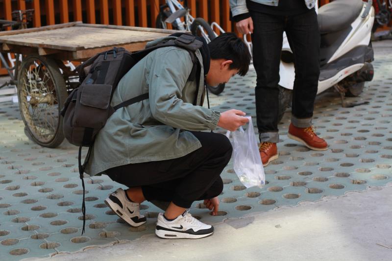 三月春风佛校园 我们在校园学雷锋 三月春风佛校园 我们在校园学雷锋