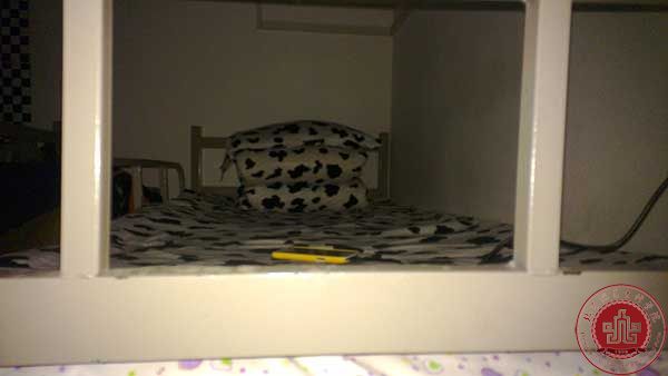 文管系“三文明建设”宿舍卫生检查