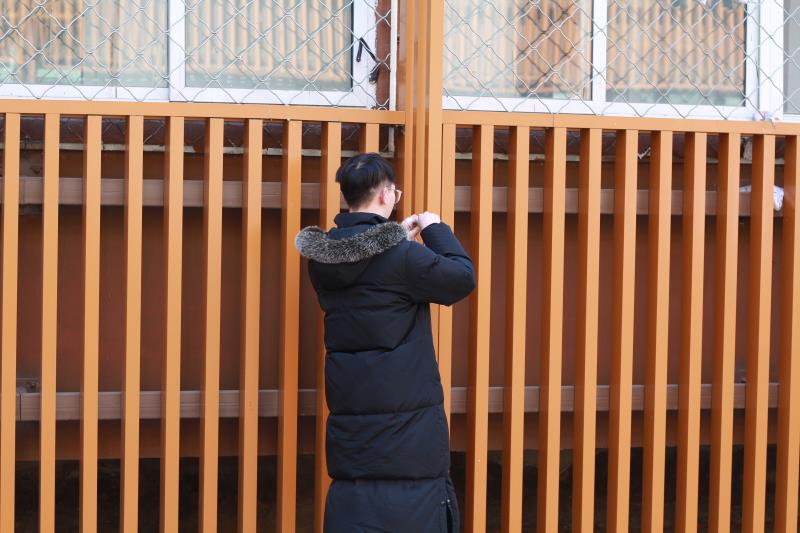 三月春风佛校园 我们在校园学雷锋 三月春风佛校园 我们在校园学雷锋