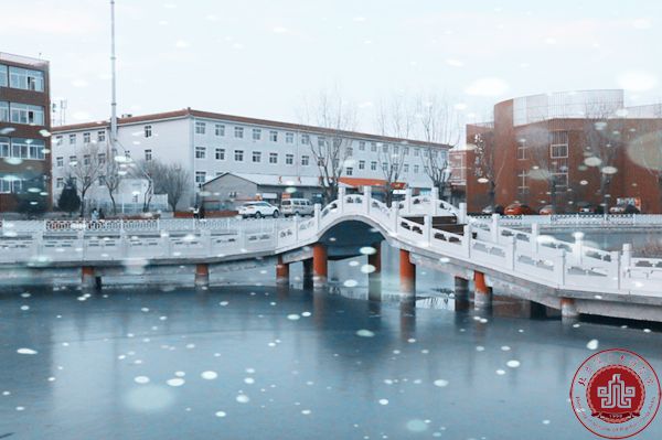 冬日里的北演校园