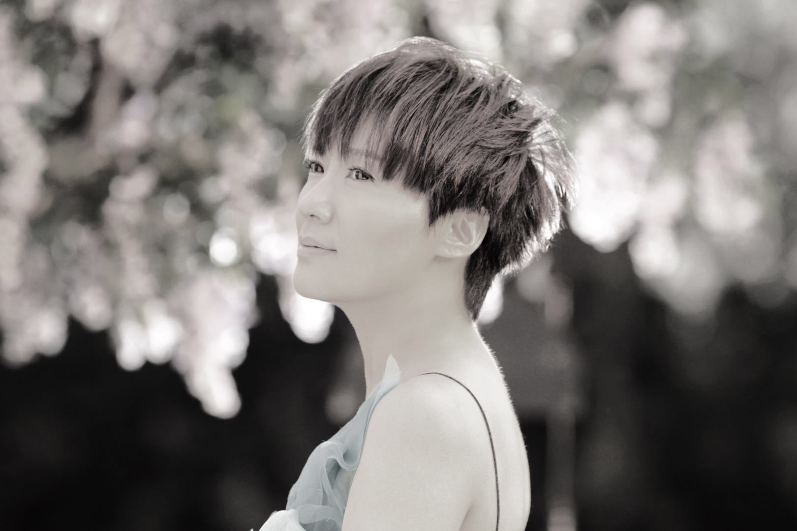 重磅！“雁来红 中国泓”世界巡回演唱会北京站——— 北京演艺专修学院站即将拉开序幕