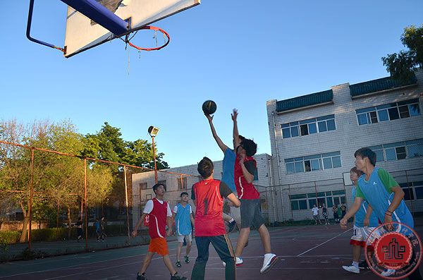 我院文化产业管理系举办新老生篮球赛 我院文化产业管理系举办新老生篮球赛