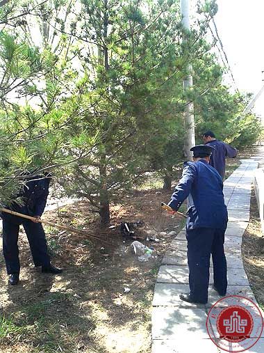 清明节保卫处组织保安清理绿化带