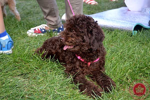 我院器乐与音乐制作系电吉他专业学生杨成接受电视台采访 我院器乐与音乐制作系电吉他专业学生杨成接受电视台采访