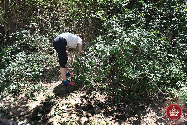 清扫垃圾,净化校园 清扫垃圾,净化校园