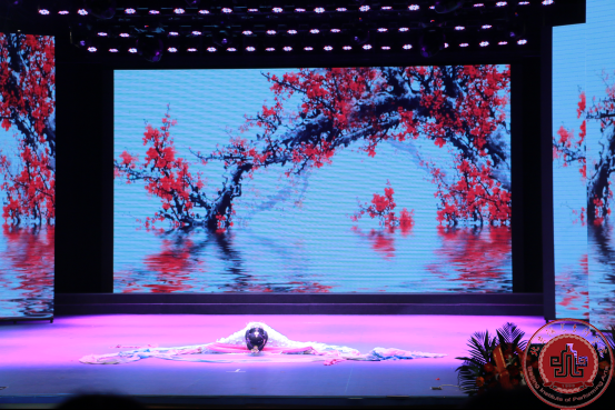 北演文管系第六届映像青春毕业晚会圆满落幕